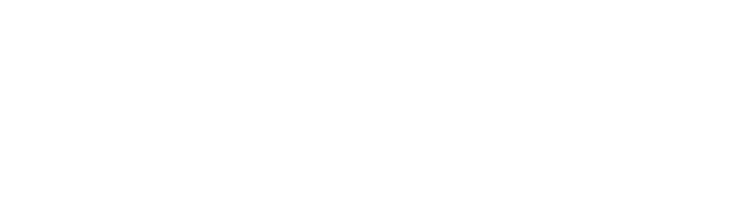 logo-dmi